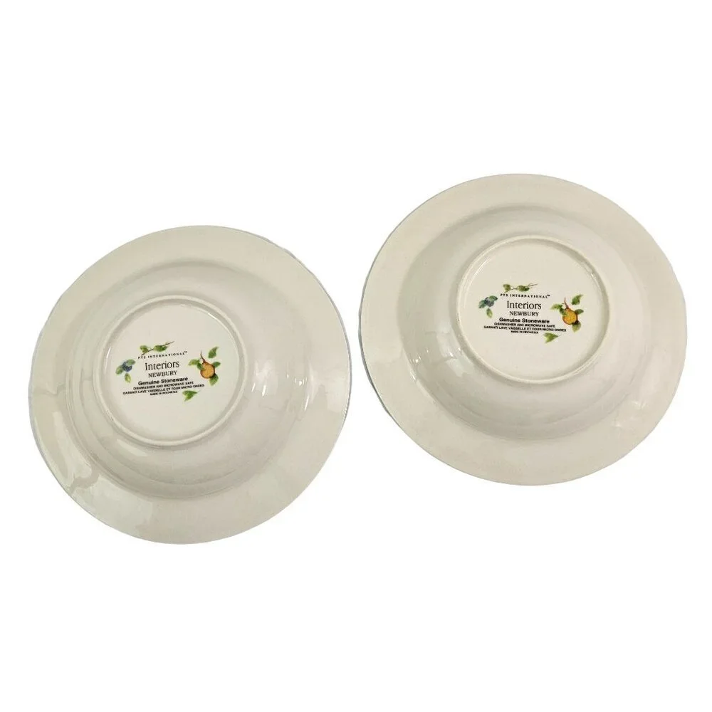 PTS International Interiors Newbury Stoneware Rimmed Soup Salad Bowls – Set of 2